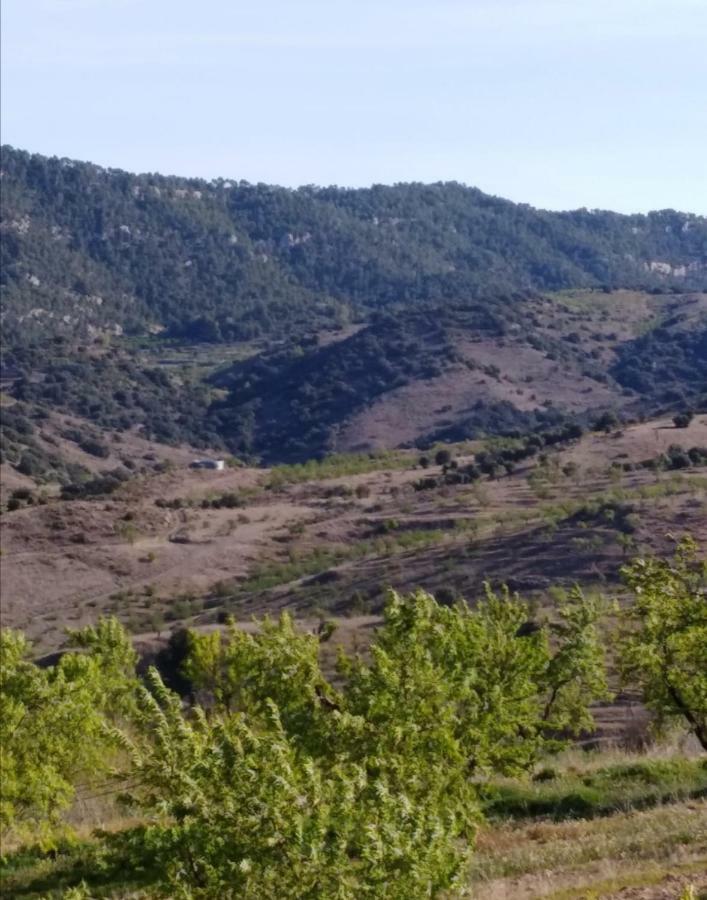 Cal Sole Daire Ulldemolins Dış mekan fotoğraf